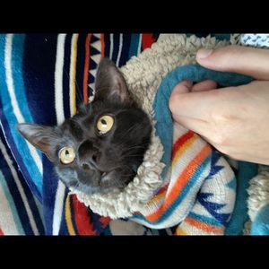 Meet your Posher, Chris